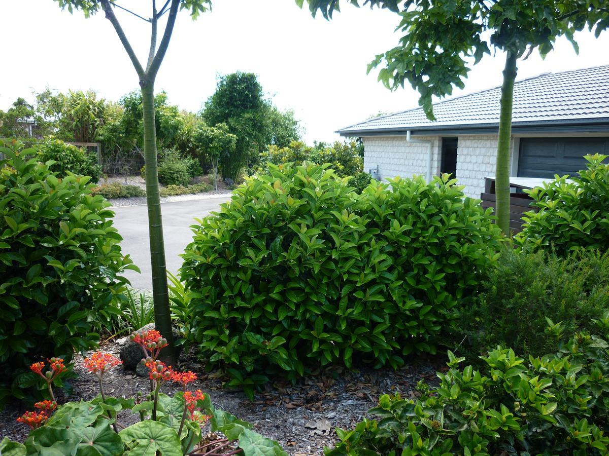 Willowbank Drive Bed & Breakfast エクステリア 写真